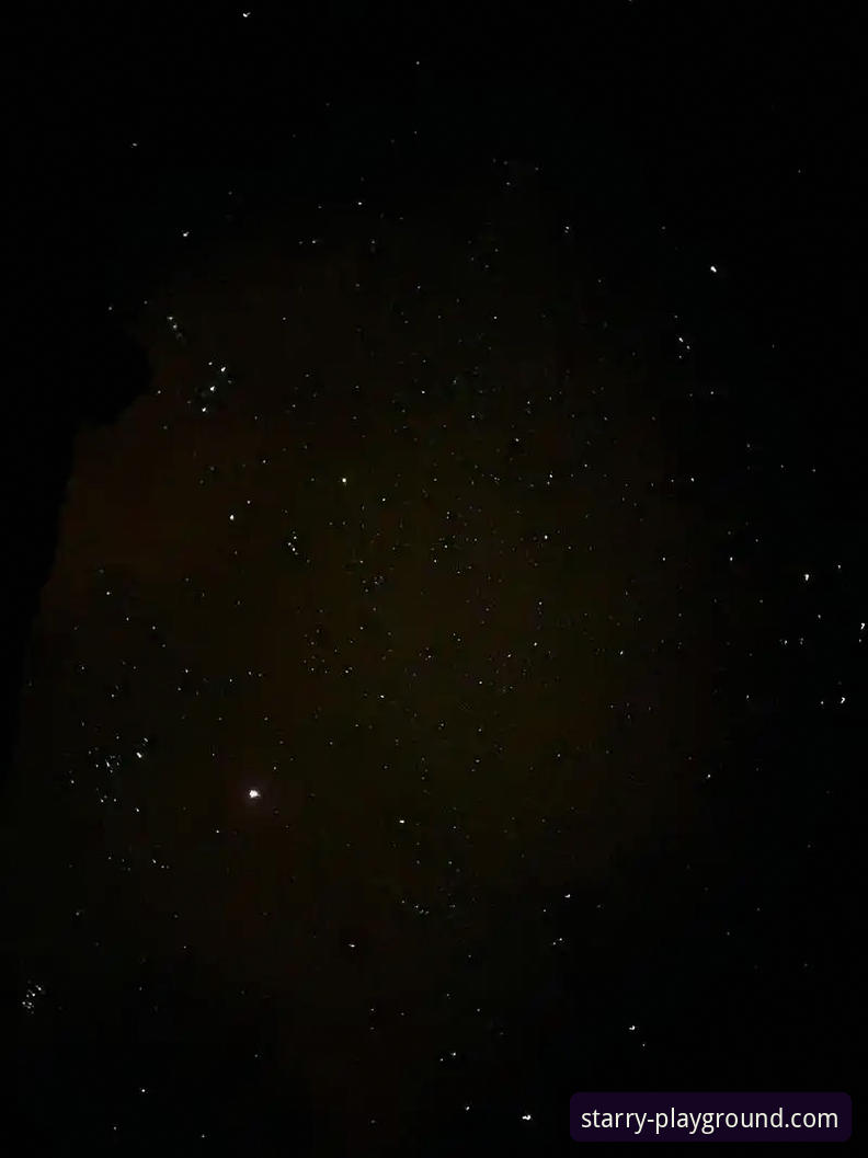 星空APP是什么安全吗？深度解析这款娱乐平台的真实面貌